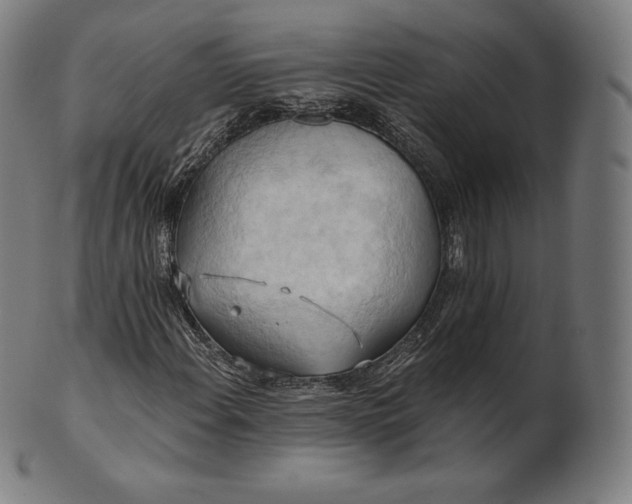 X0000101211108200807111026