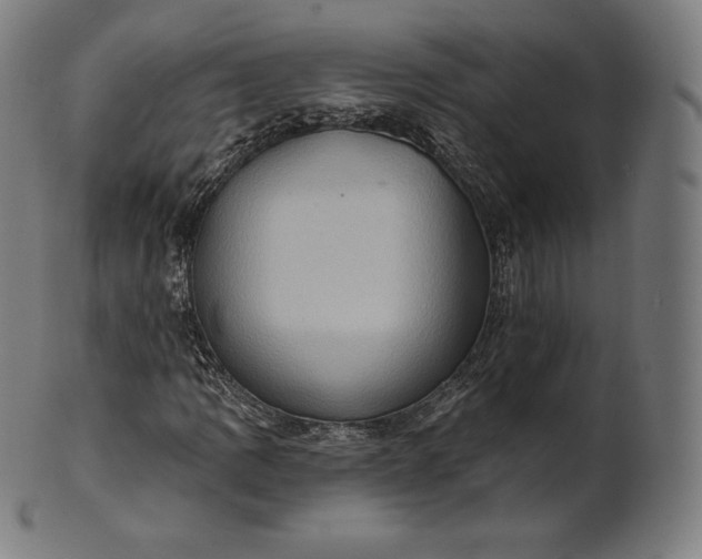 X0000101211109200807111026