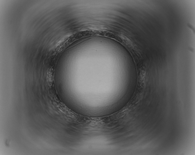 X0000101211110200807111026