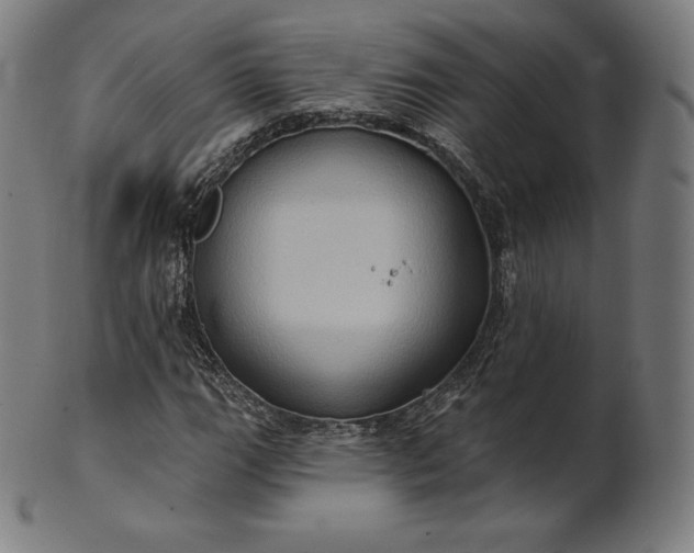 X0000101211111200807111026