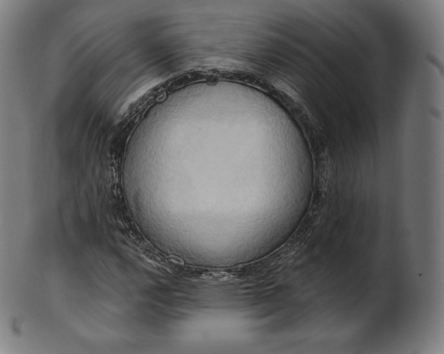 X0000101211112200807111026