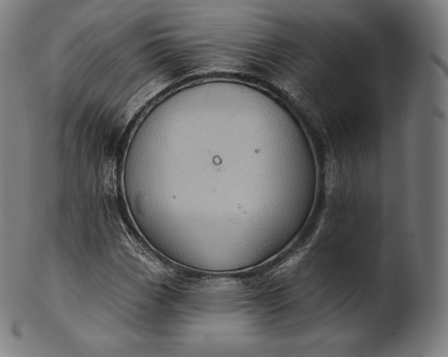 X0000101211113200807111026