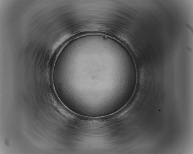 X0000101211114200807111026