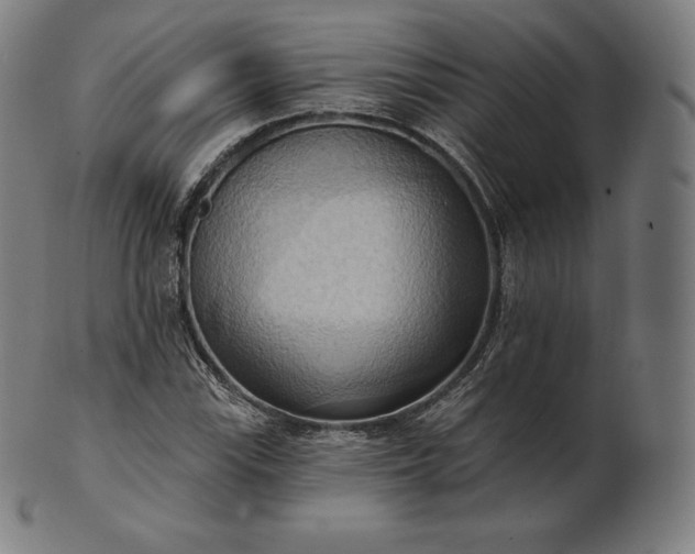 X0000101211115200807111026