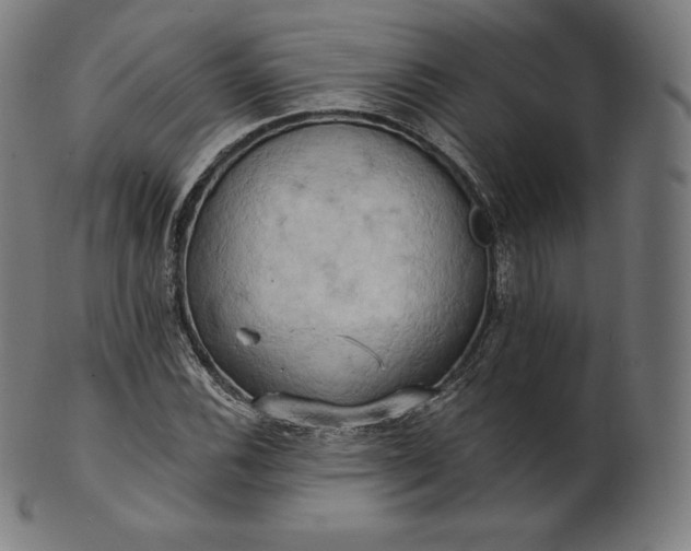 X0000101211116200807111026