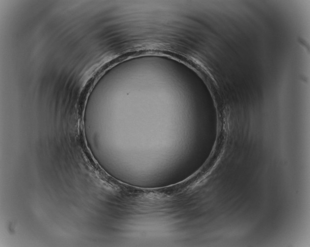 X0000101211117200807111026