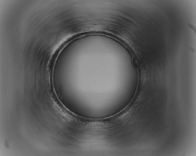 X0000101211118200807111027