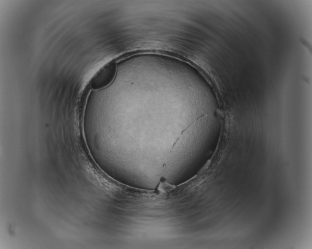 X0000101211120200807111027