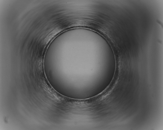 X0000101211121200807111027