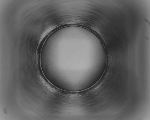 X0000101211122200807111027