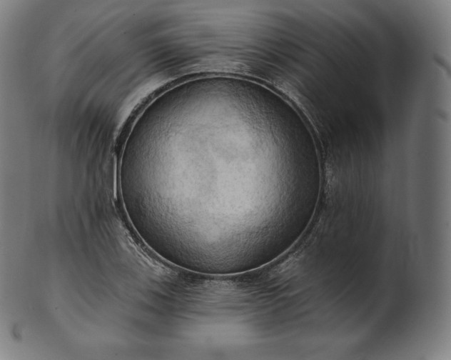 X0000101211123200807111027