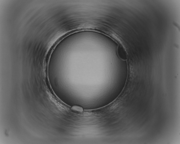 X0000101211124200807111027