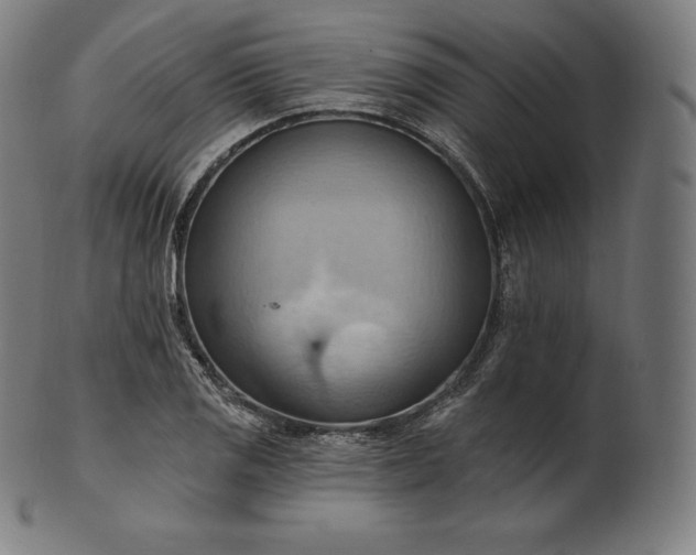 X0000101211125200807111027