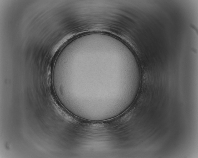 X0000101211126200807111027