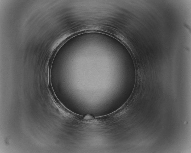 X0000101211127200807111027