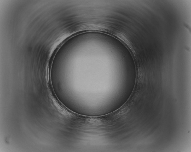 X0000101211128200807111027