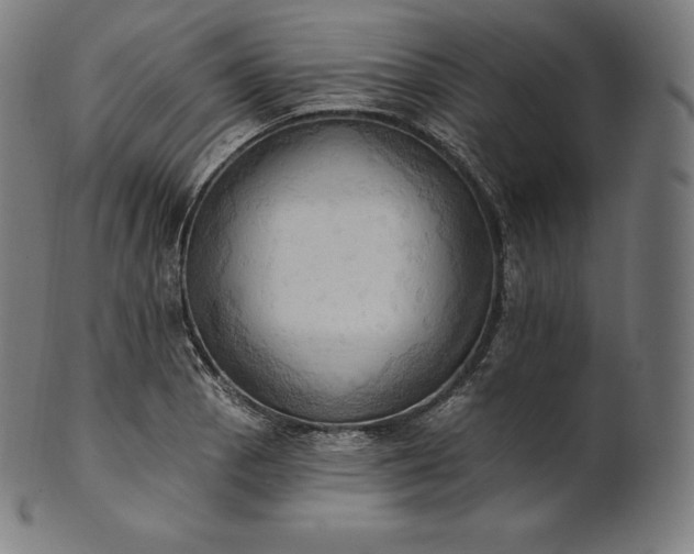 X0000101211129200807111027