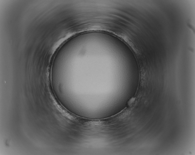 X0000101211134200807111027