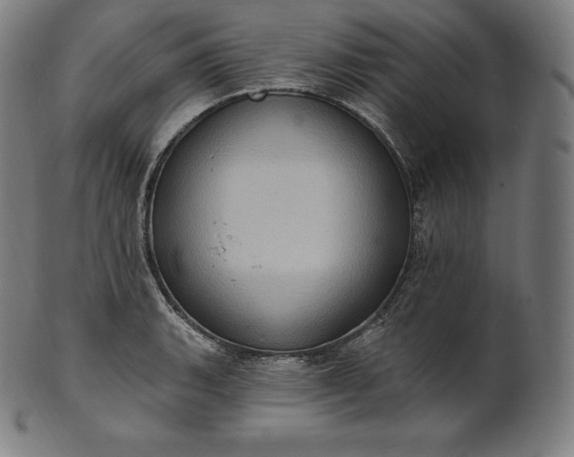 X0000101211135200807111027