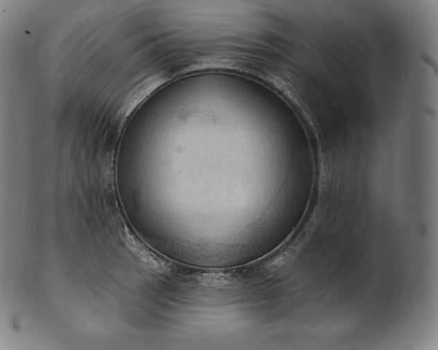 X0000101211137200807111027