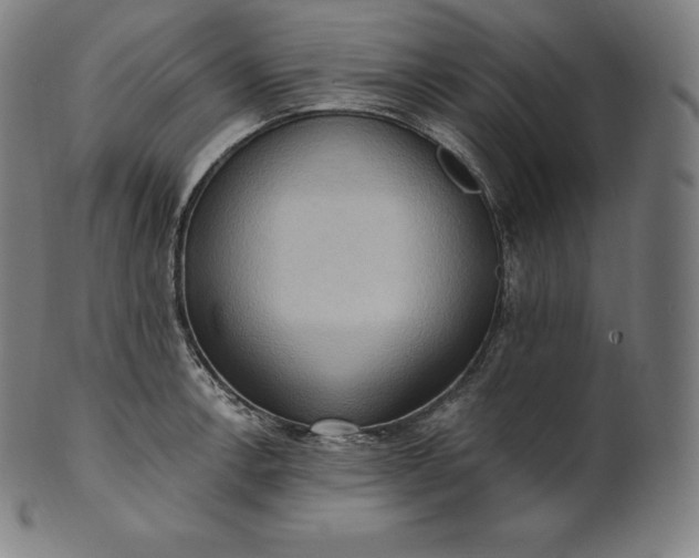 X0000101211138200807111027