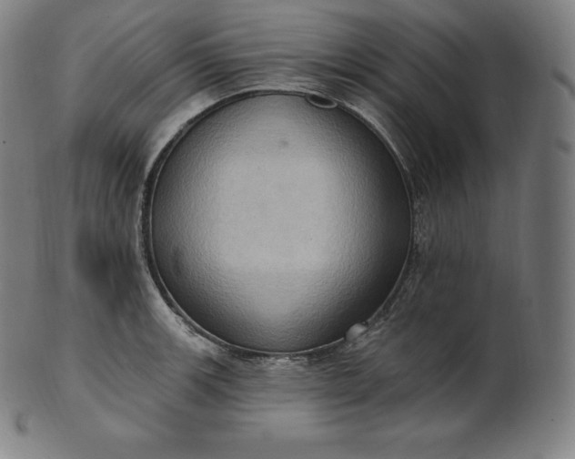 X0000101211139200807111027