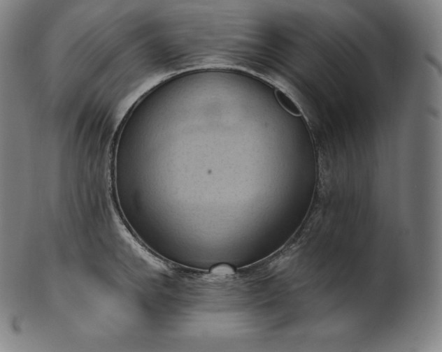 X0000101211142200807111027