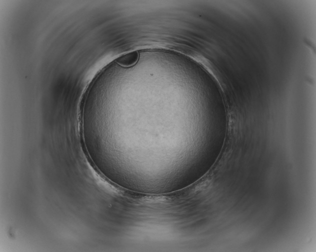 X0000101211143200807111027