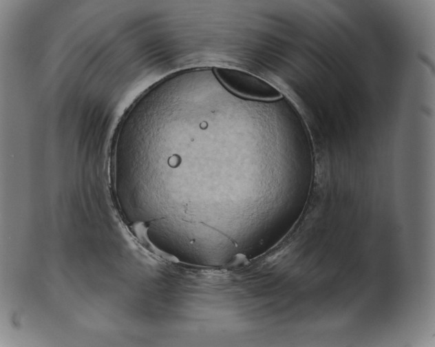 X0000101211144200807111027