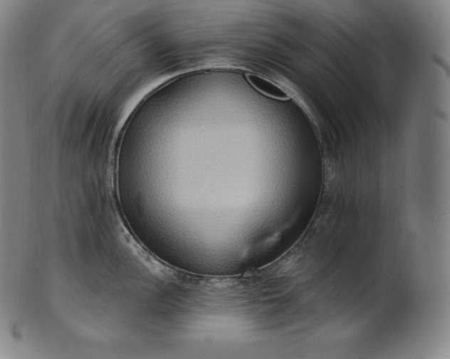 X0000101211148200807111027