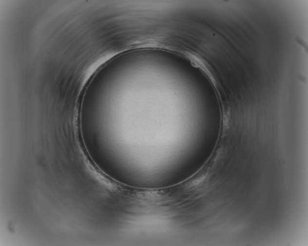 X0000101211149200807111027