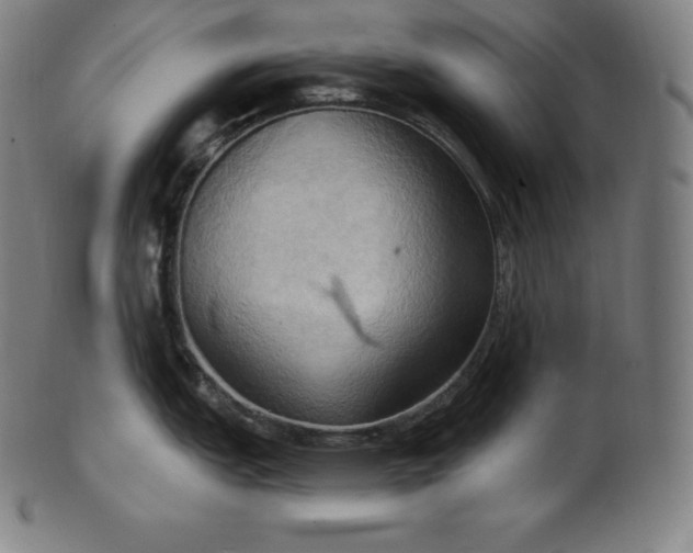 X0000101211151200807111027