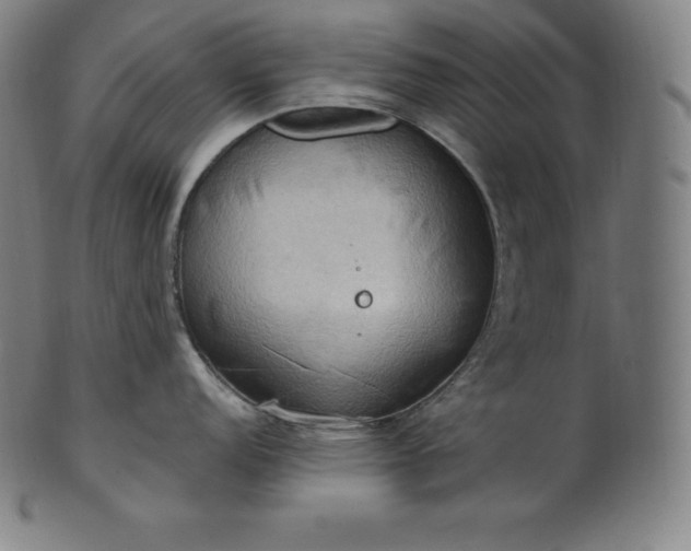 X0000101211152200807111027