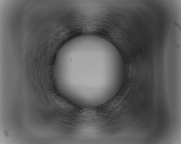 X0000101211153200807111026