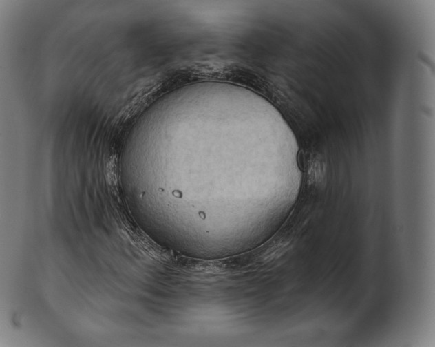 X0000101211156200807111026