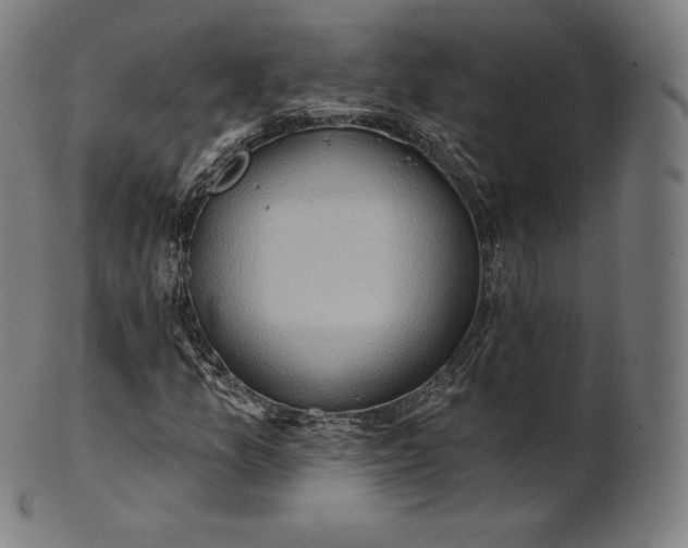 X0000101211157200807111026