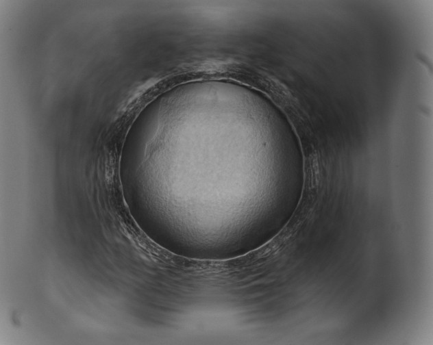 X0000101211158200807111026