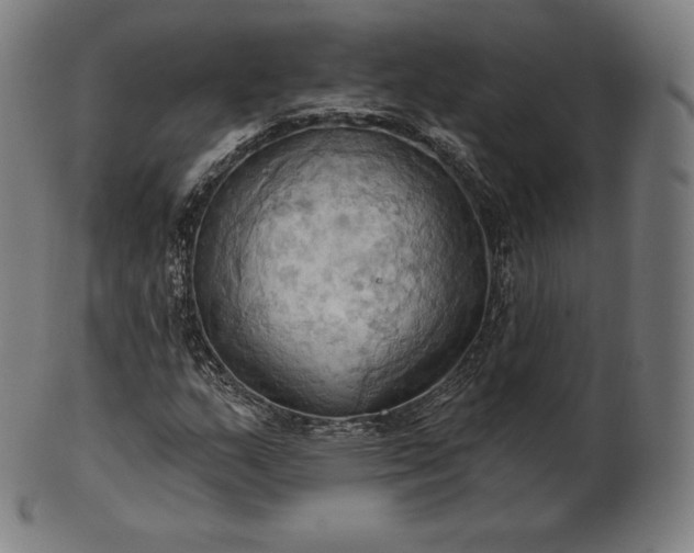 X0000101211159200807111026