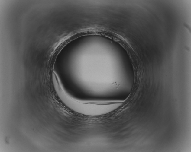 X0000101211160200807111026