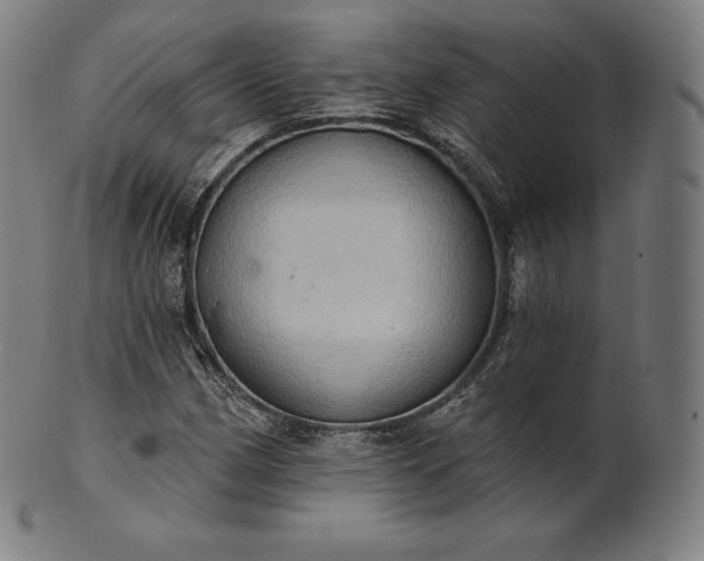 X0000101211162200807111026