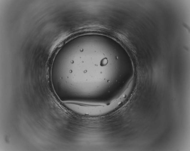 X0000101211164200807111026