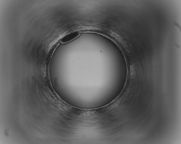 X0000101211165200807111026