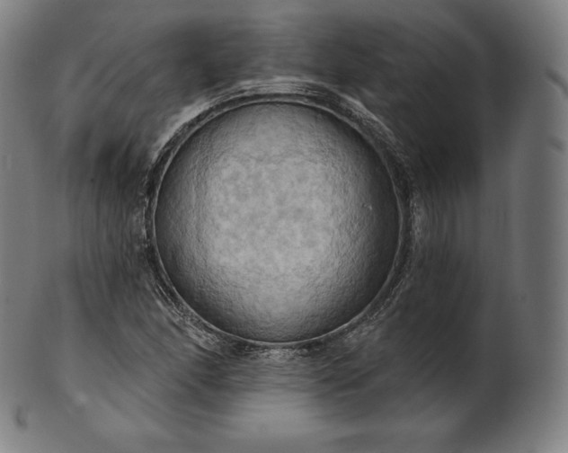 X0000101211166200807111026