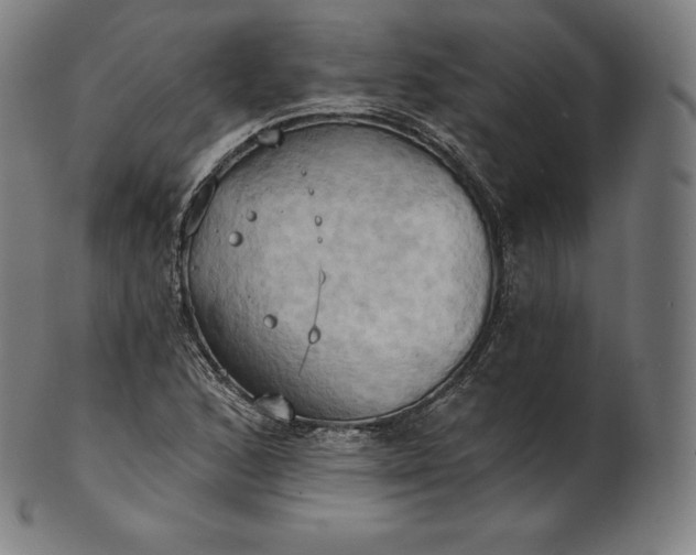 X0000101211168200807111026