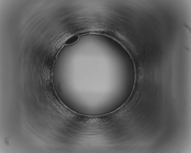 X0000101211169200807111026