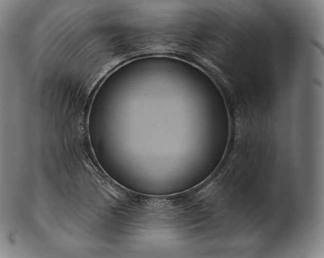 X0000101211170200807111026