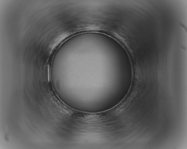 X0000101211171200807111026