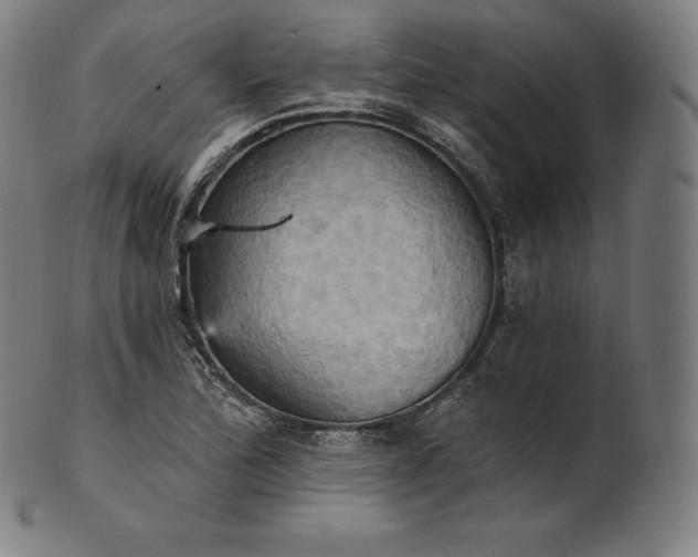 X0000101211172200807111026