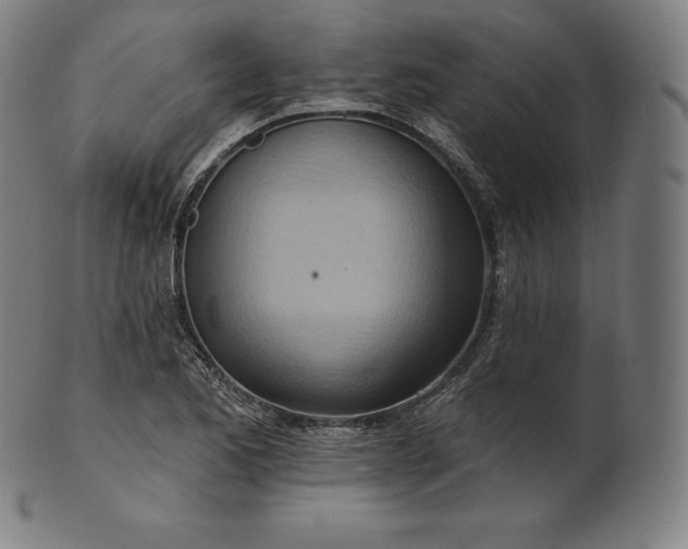 X0000101211173200807111026