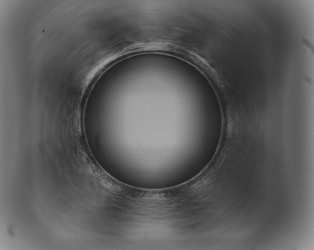 X0000101211174200807111026